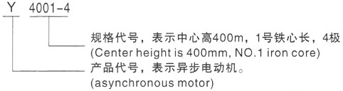 西安泰富西玛Y系列(H355-1000)高压YKK5602-12三相异步电机型号说明